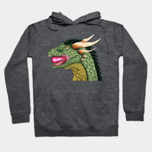 Dragon  Breath Hoodie